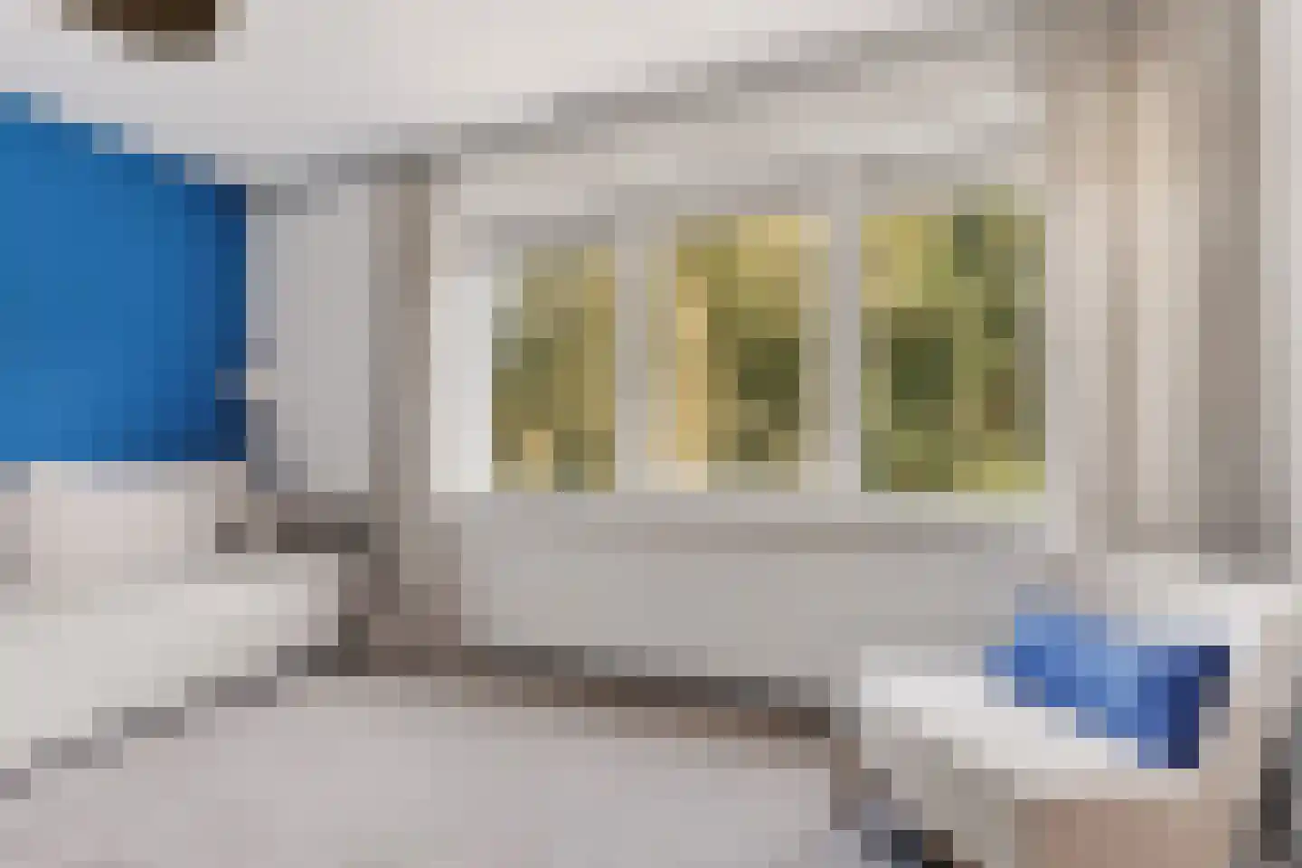 Goudwespmeent 79 Hilversum thumbnail 32