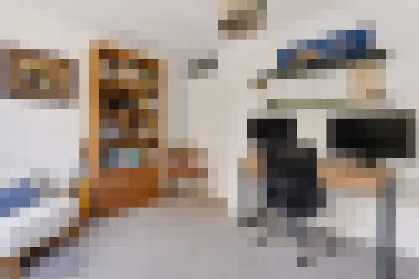 Goudwespmeent 79 Hilversum thumbnail 33