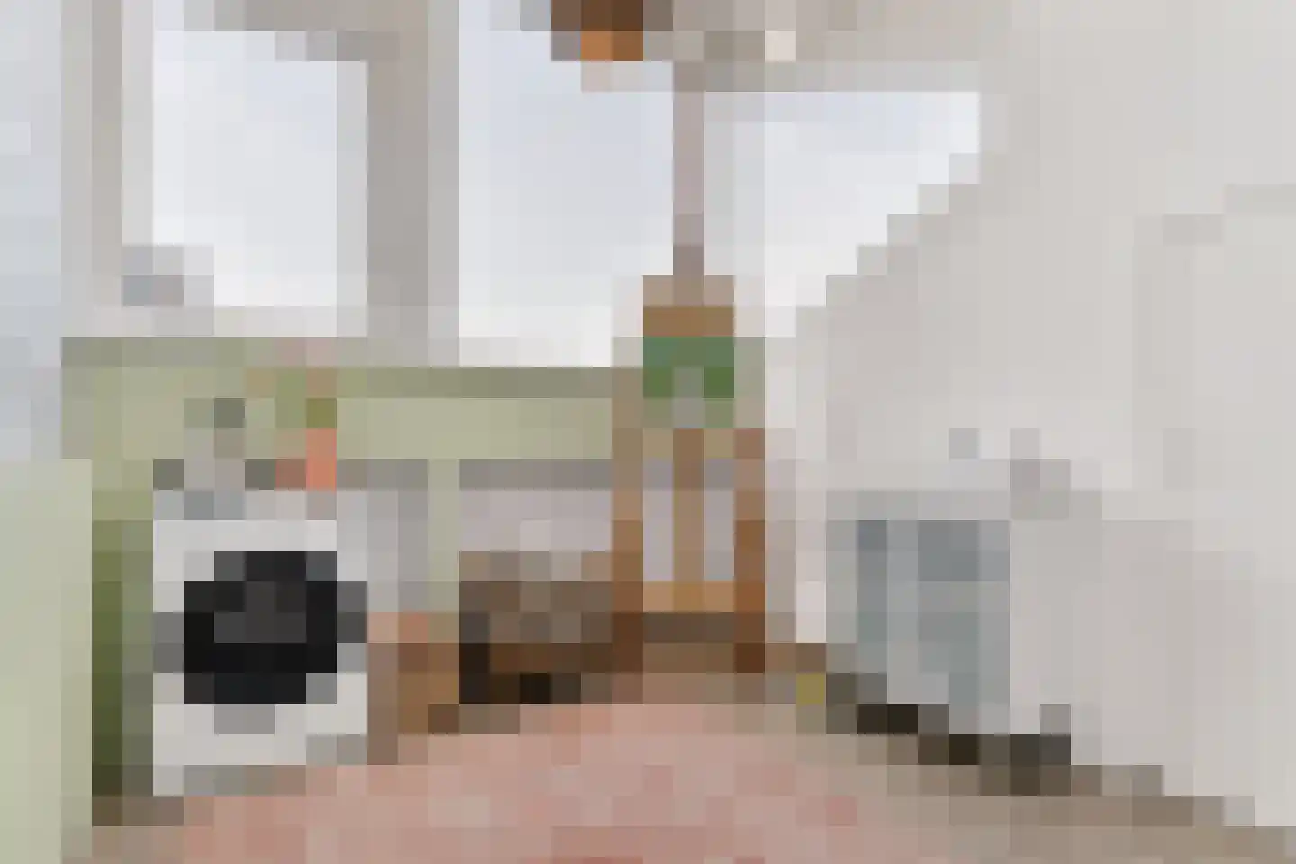 Goudwespmeent 79 Hilversum thumbnail 35