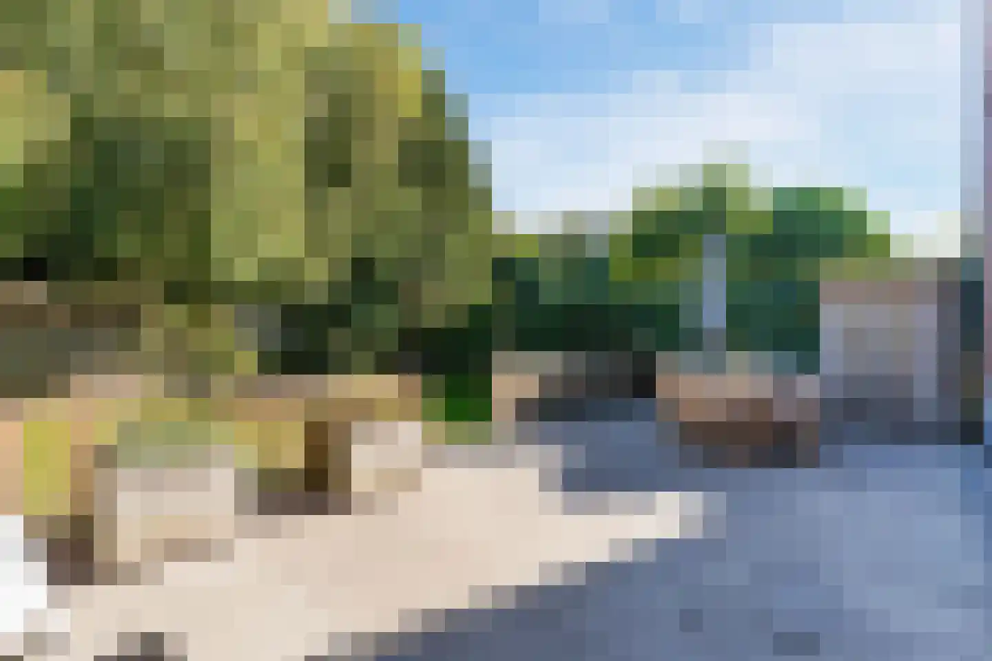 Goudwespmeent 79 Hilversum thumbnail 39