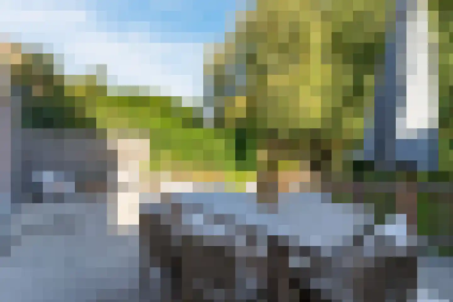 Goudwespmeent 79 Hilversum thumbnail 40