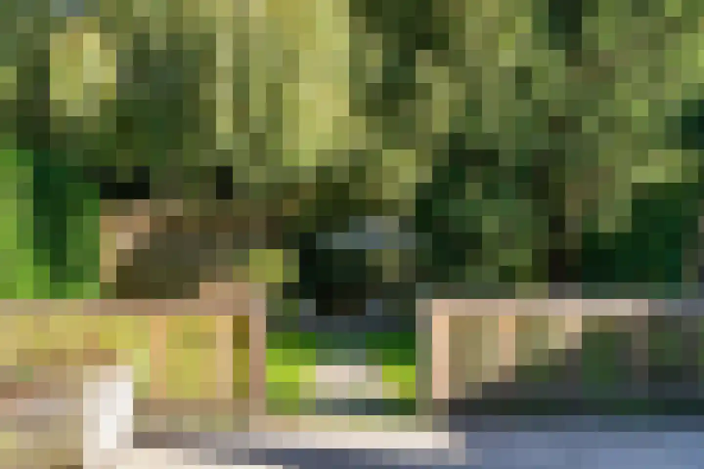 Goudwespmeent 79 Hilversum thumbnail 41