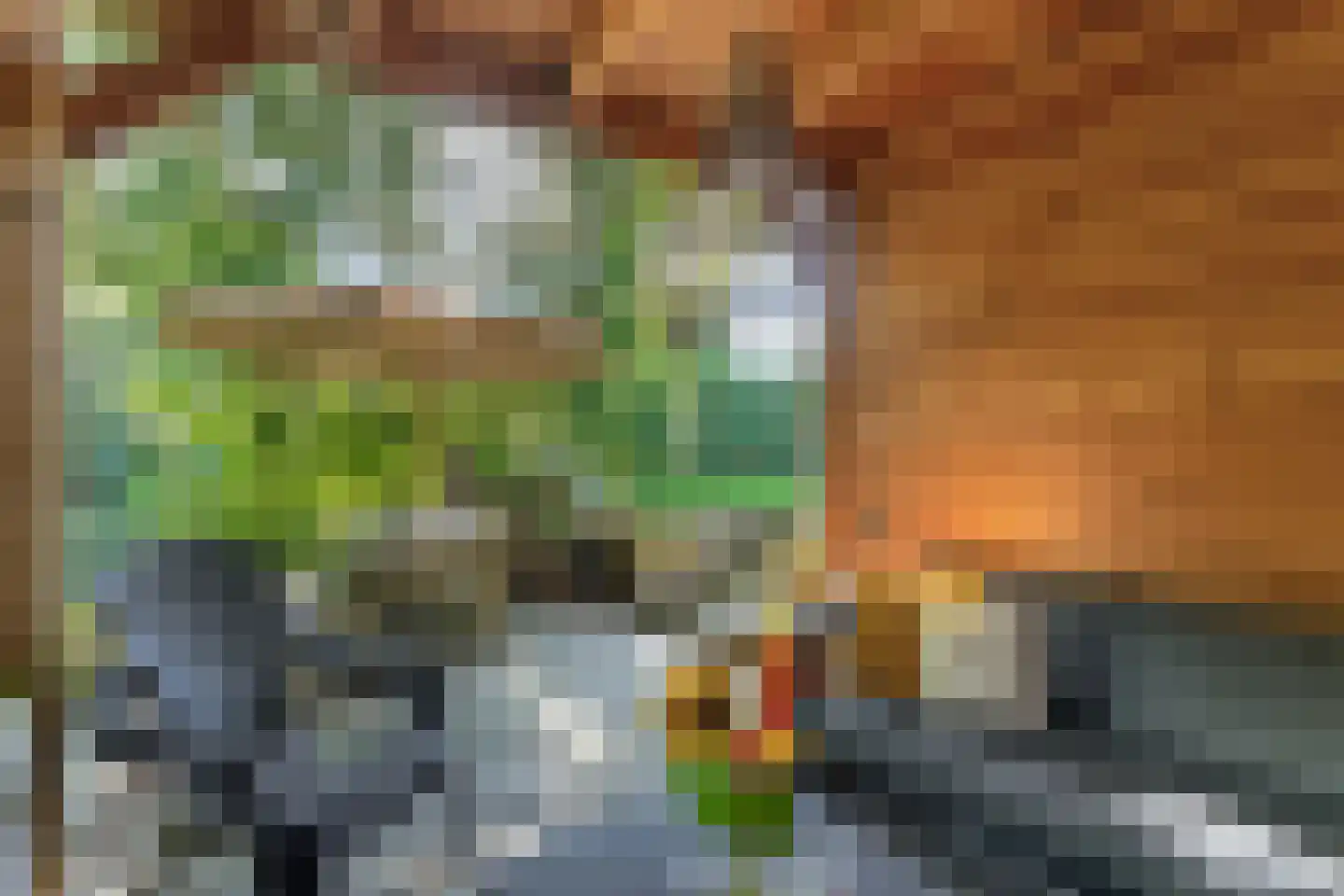 Goudwespmeent 79 Hilversum thumbnail 43