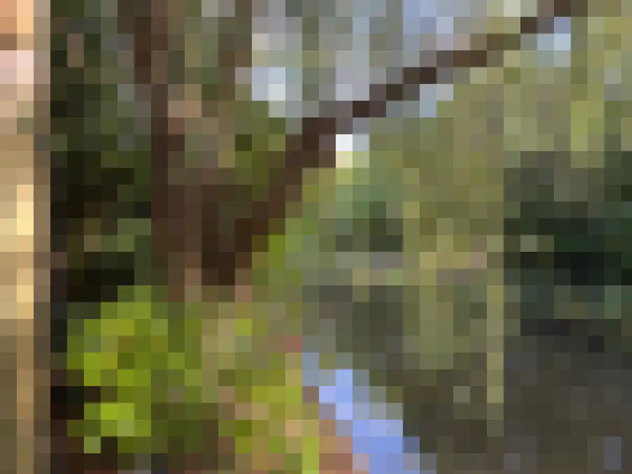 Goudwespmeent 79 Hilversum thumbnail 48