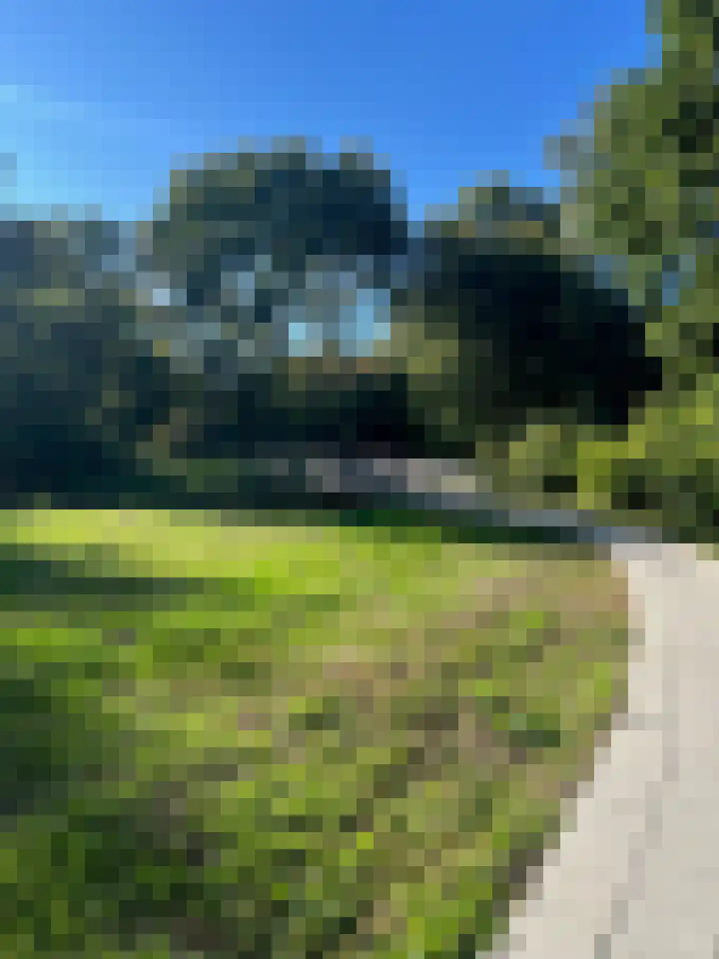 Goudwespmeent 79 Hilversum thumbnail 49