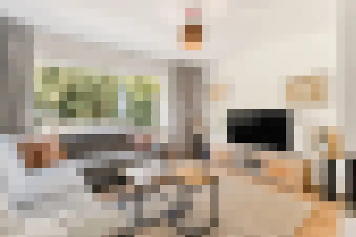 Goudwespmeent 79 Hilversum thumbnail 6