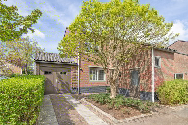 Goudwespmeent 93 in Hilversum foto