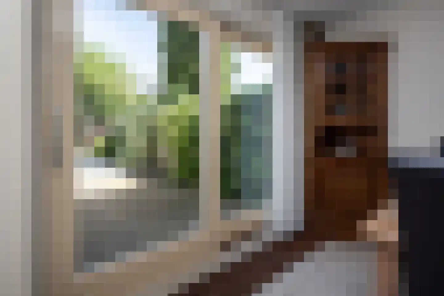 Goudwinde 12 Avenhorn thumbnail 13