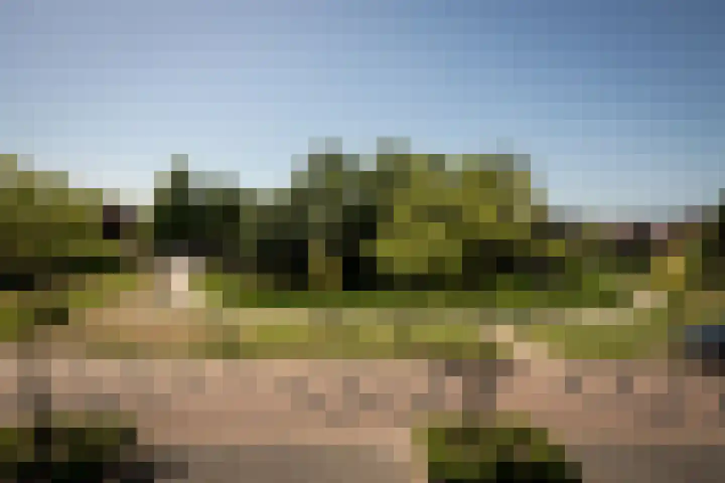Goudwinde 12 Avenhorn thumbnail 25