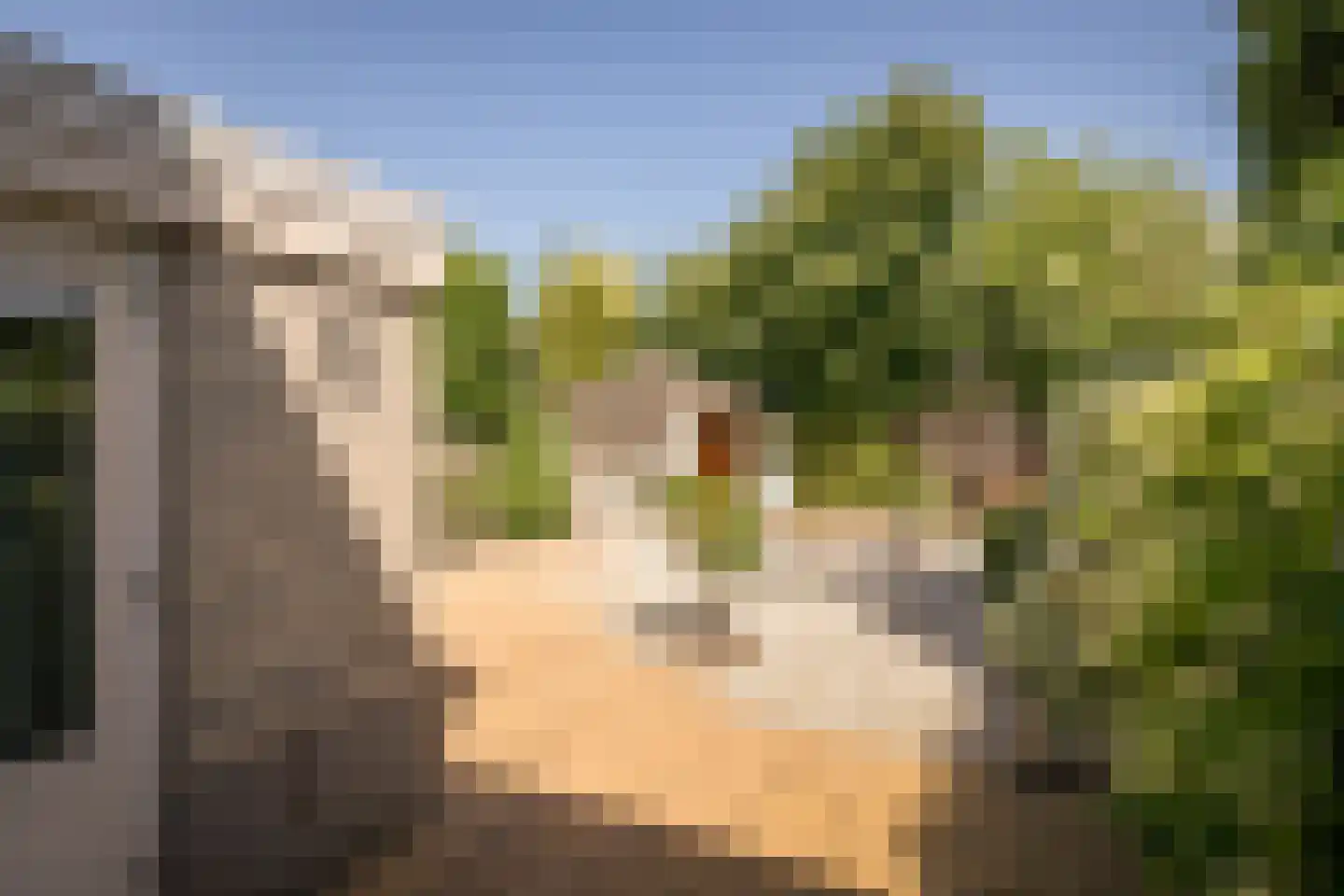 Goudwinde 12 Avenhorn thumbnail 39