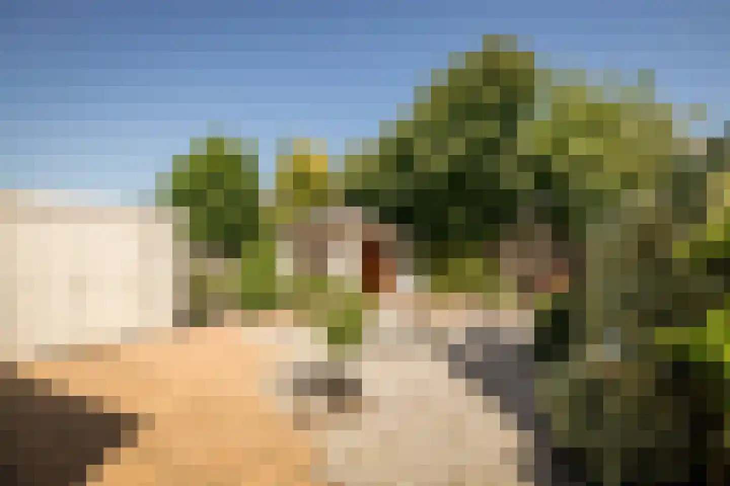 Goudwinde 12 Avenhorn thumbnail 4