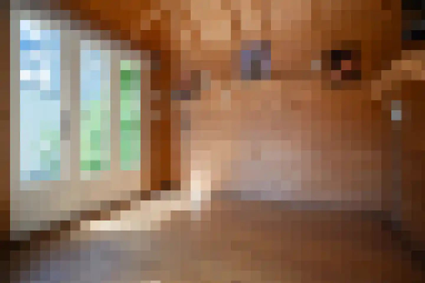 Goudwinde 12 Avenhorn thumbnail 43