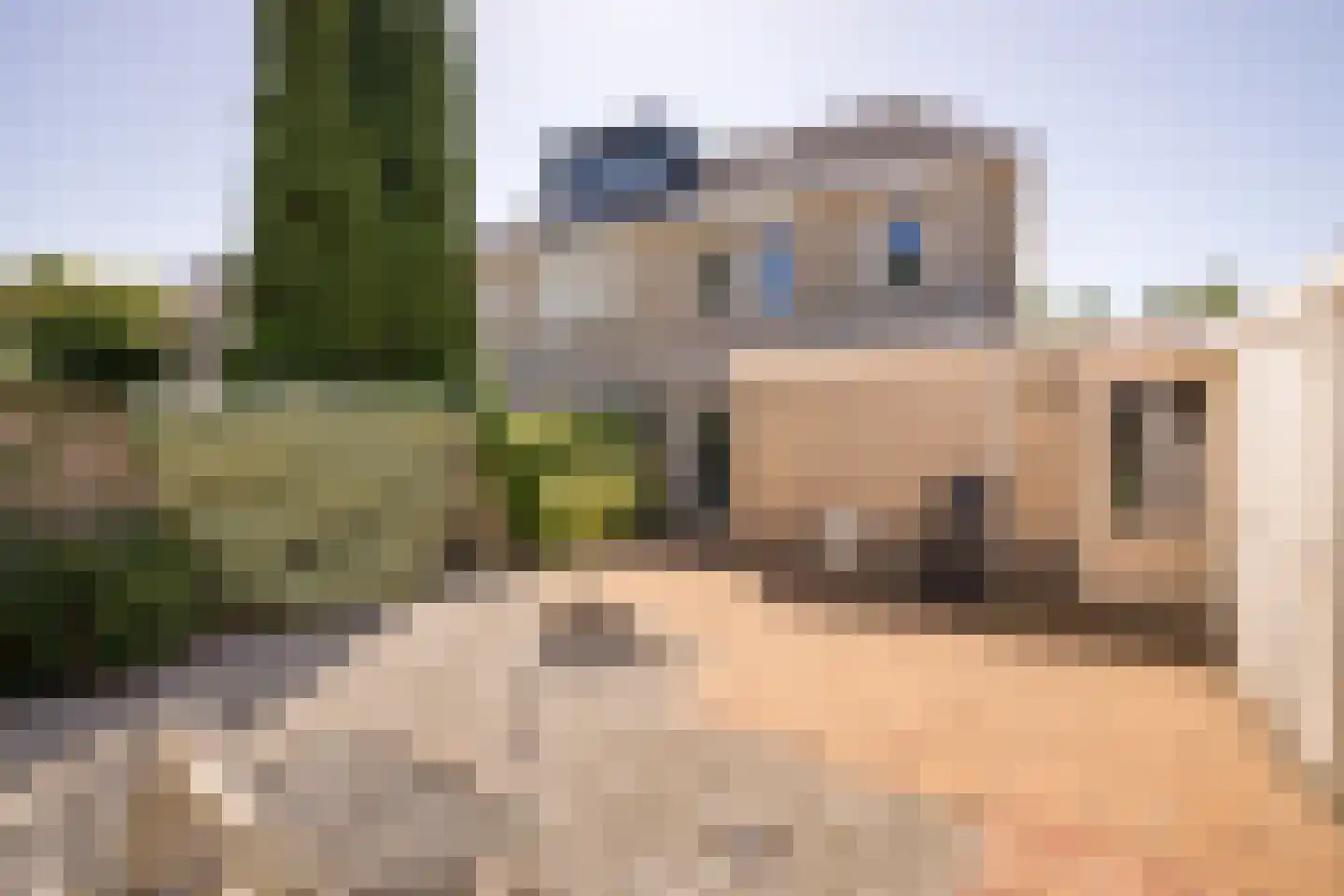 Goudwinde 12 Avenhorn thumbnail 45