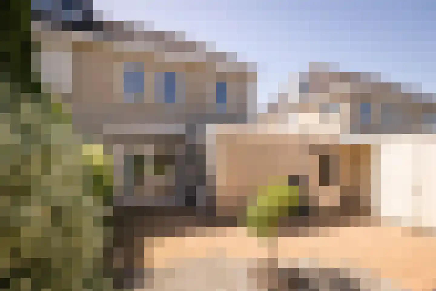 Goudwinde 12 Avenhorn thumbnail 46