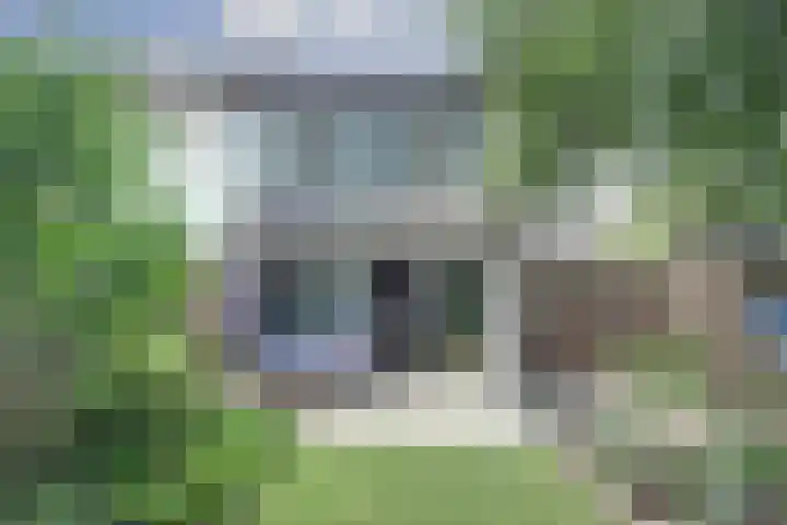Goudzeelt 37 Zuid-Scharwoude thumbnail 29