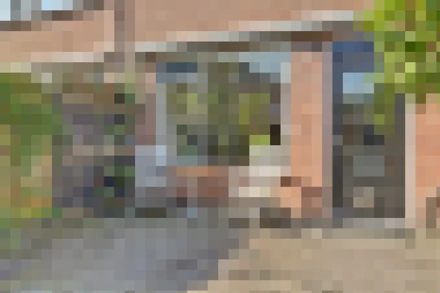 Goudzeelt 6 Zuid-Scharwoude thumbnail 36