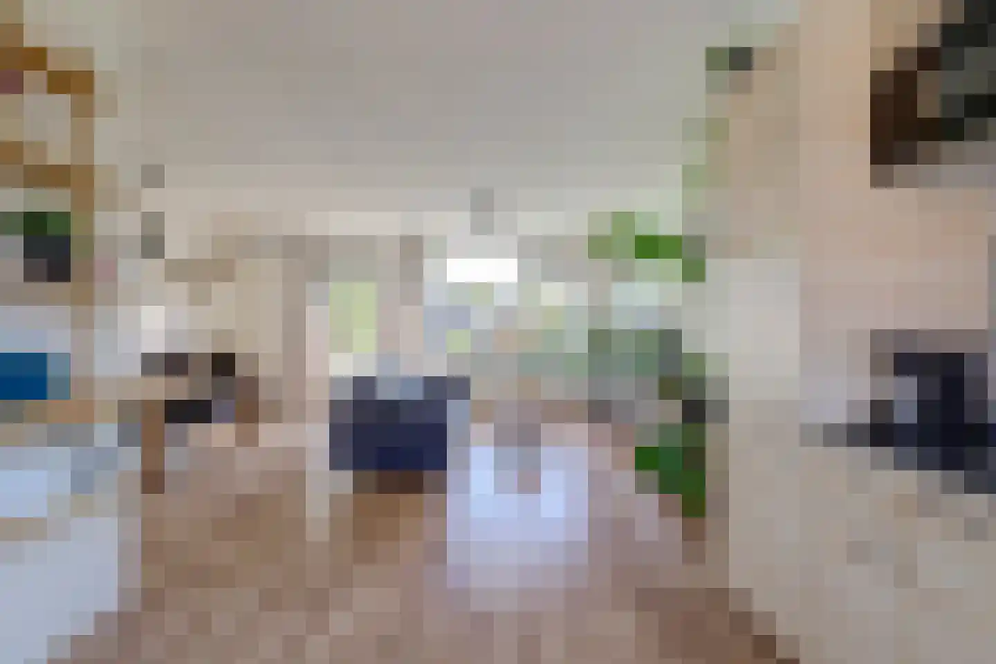 Goudzeelt 6 Zuid-Scharwoude thumbnail 8