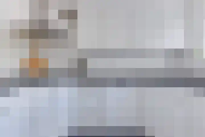 Goudzeelt 79 Zuid-Scharwoude thumbnail 18
