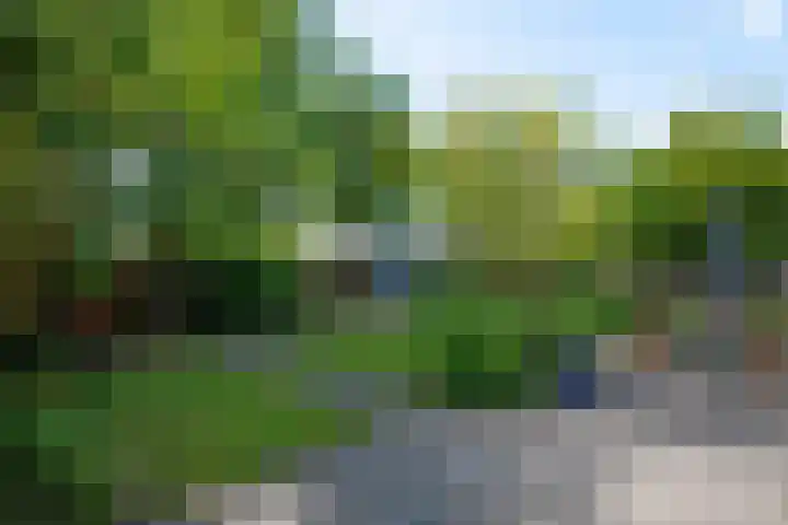 Goudzeelt 79 Zuid-Scharwoude thumbnail 45