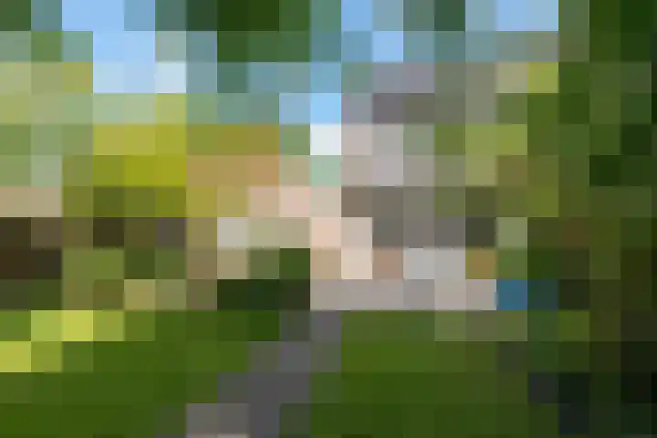 Goudzeelt 79 Zuid-Scharwoude thumbnail 46