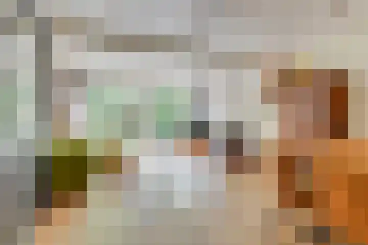 Goudzeelt 79 Zuid-Scharwoude thumbnail 8