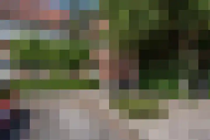 Goudzoeker 21 Rhoon thumbnail 10