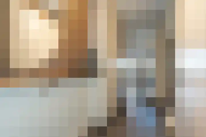 Goudzoeker 21 Rhoon thumbnail 11