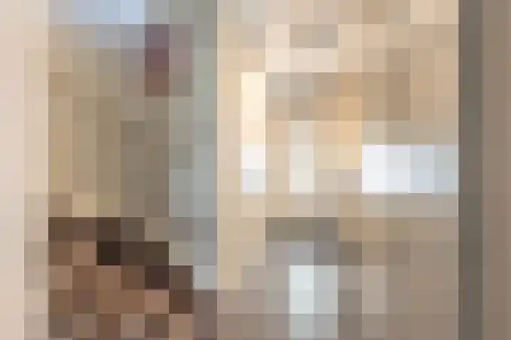 Goudzoeker 21 Rhoon thumbnail 13