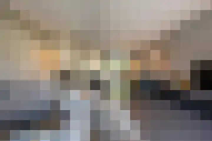 Goudzoeker 21 Rhoon thumbnail 14