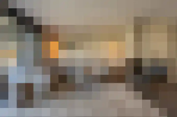 Goudzoeker 21 Rhoon thumbnail 15
