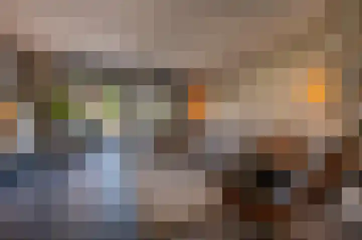 Goudzoeker 21 Rhoon thumbnail 16