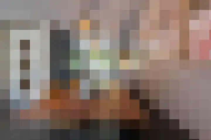 Goudzoeker 21 Rhoon thumbnail 20