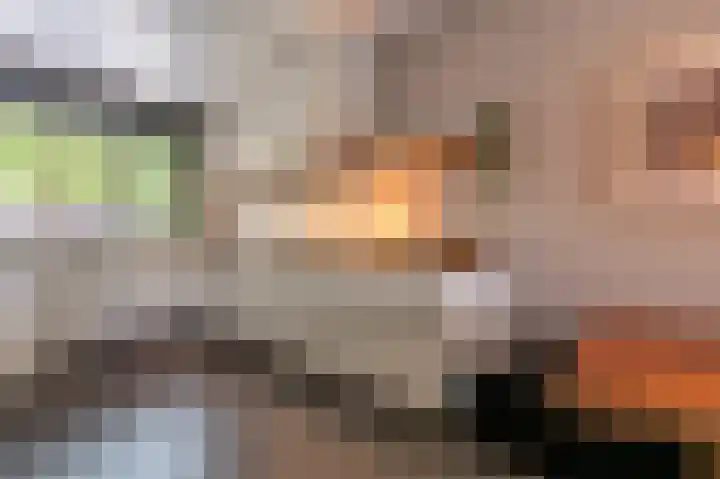 Goudzoeker 21 Rhoon thumbnail 22