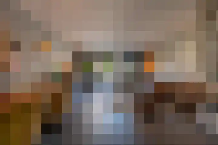 Goudzoeker 21 Rhoon thumbnail 24