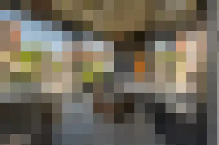 Goudzoeker 21 Rhoon thumbnail 25