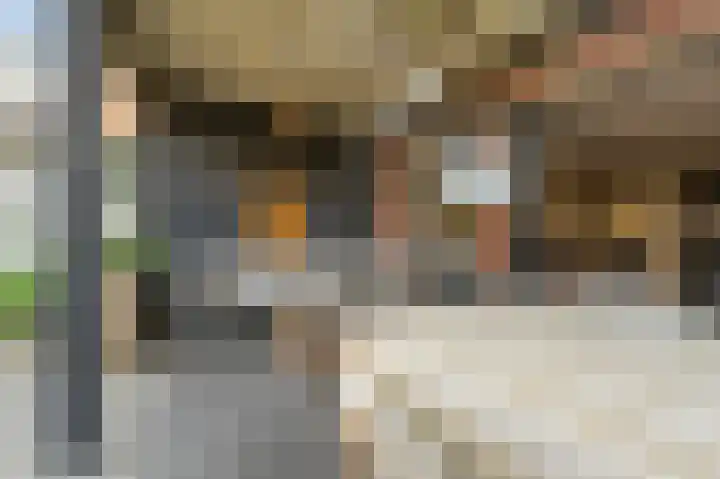 Goudzoeker 21 Rhoon thumbnail 27