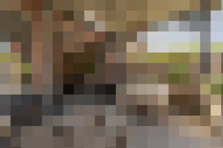 Goudzoeker 21 Rhoon thumbnail 28