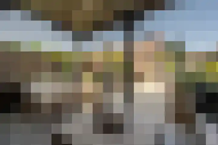 Goudzoeker 21 Rhoon thumbnail 29