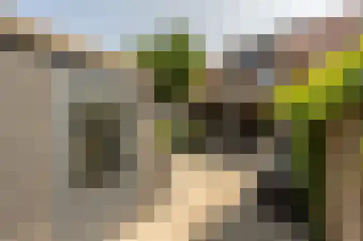 Goudzoeker 21 Rhoon thumbnail 30