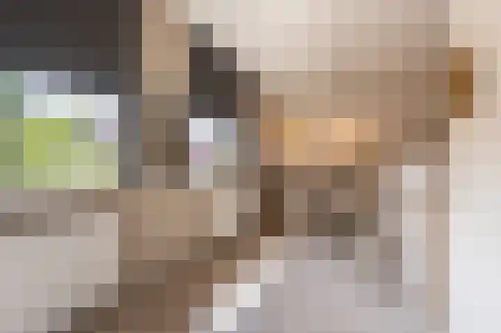 Goudzoeker 21 Rhoon thumbnail 31