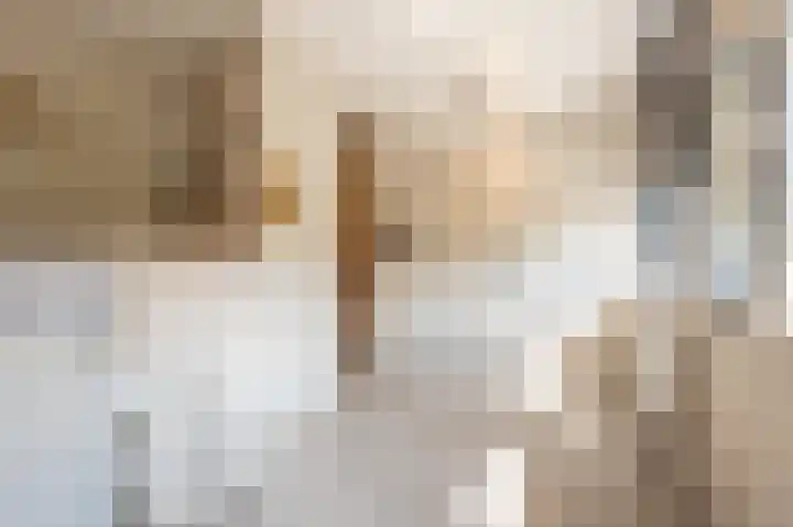 Goudzoeker 21 Rhoon thumbnail 32