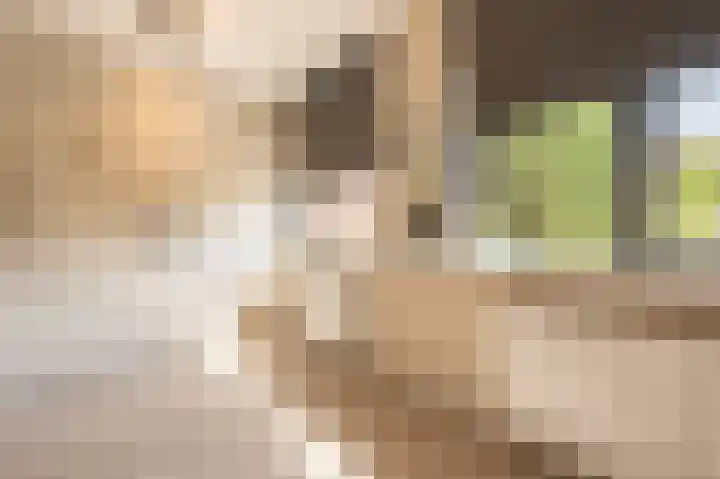 Goudzoeker 21 Rhoon thumbnail 33