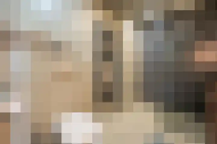 Goudzoeker 21 Rhoon thumbnail 35