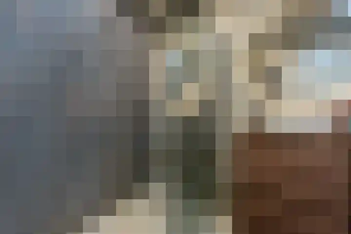 Goudzoeker 21 Rhoon thumbnail 36