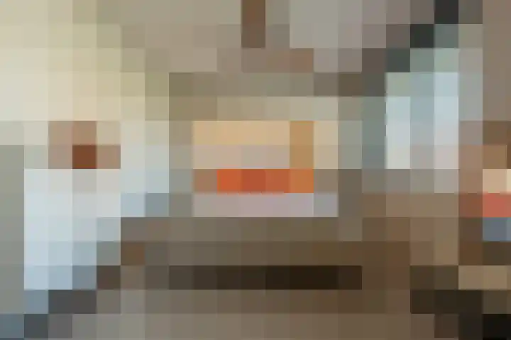 Goudzoeker 21 Rhoon thumbnail 4