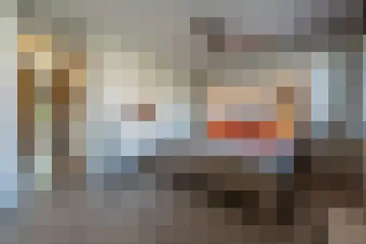 Goudzoeker 21 Rhoon thumbnail 40