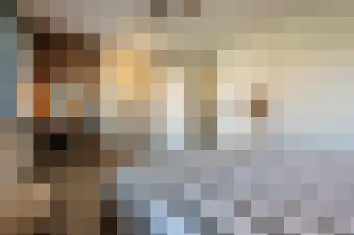 Goudzoeker 21 Rhoon thumbnail 41
