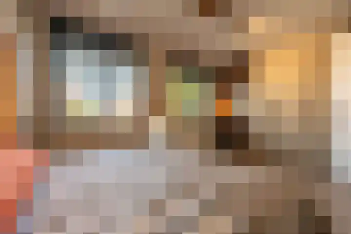 Goudzoeker 21 Rhoon thumbnail 42