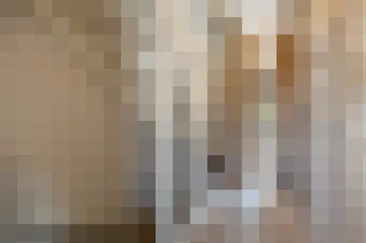 Goudzoeker 21 Rhoon thumbnail 43