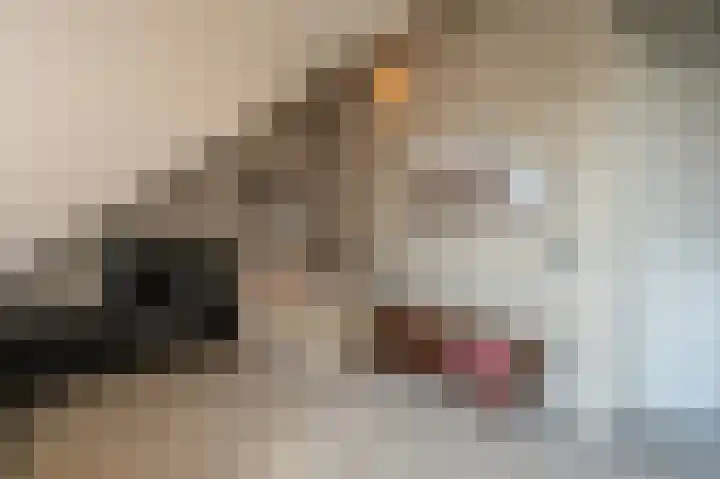Goudzoeker 21 Rhoon thumbnail 45